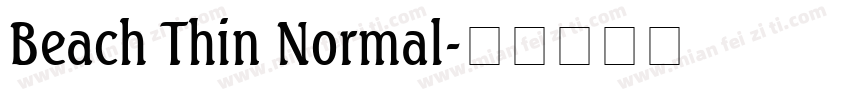 Beach Thin Normal字体转换